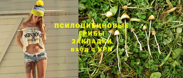 бутират Алексин