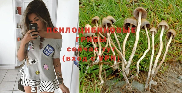 дживик Козловка