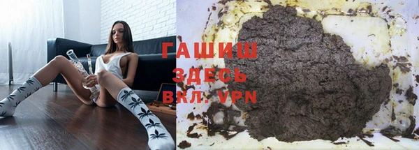 индика Козельск